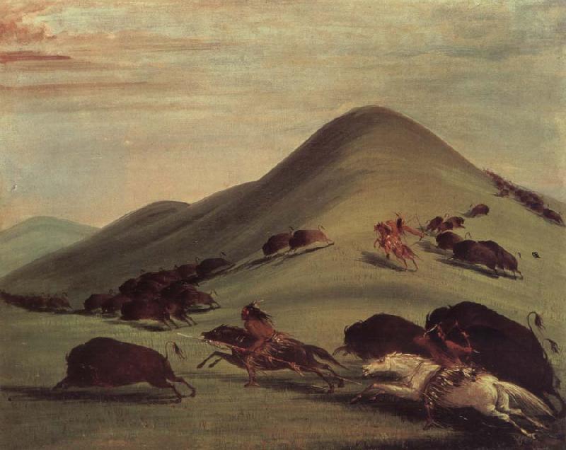 George Catlin Buffalo Chase Over Prairie bark oil painting image